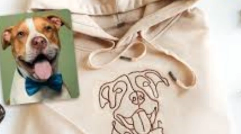 Why Dog Sweatshirts are Better than Regular Pet Clothing?