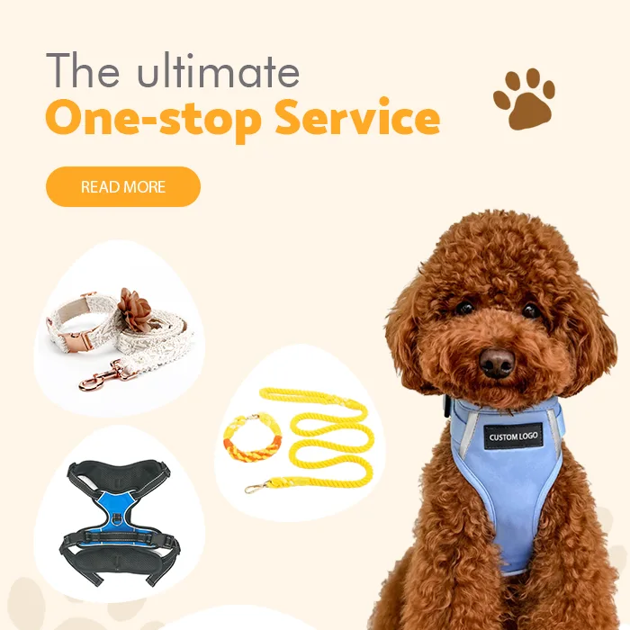 banner1_1759220495667