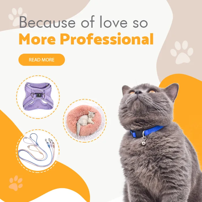 banner2_1759220503720