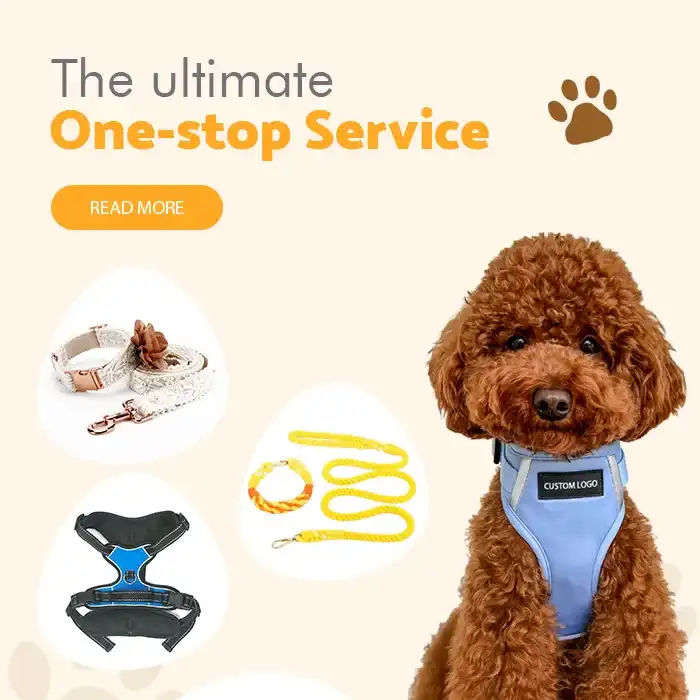 banner1_1759220495667_1763704937102